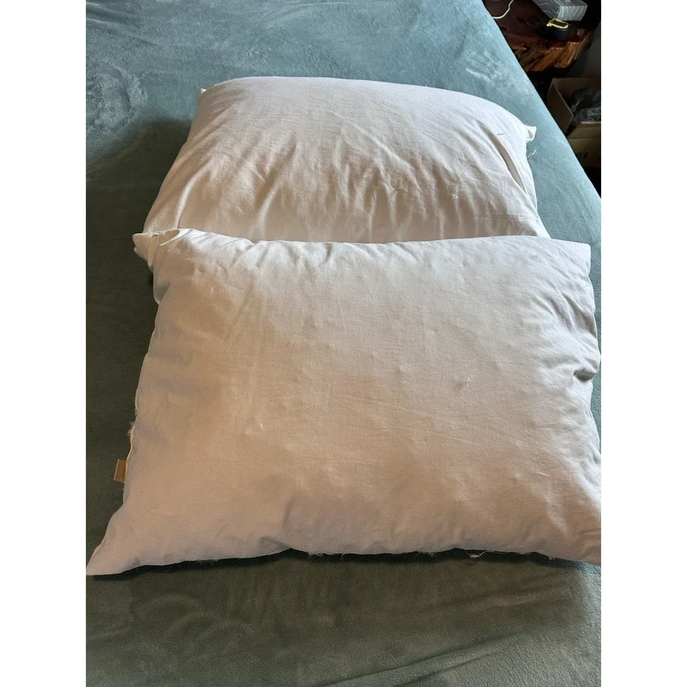 Pottery Barn Teen Standard Down Feather Pillow Insert Set of 2 White